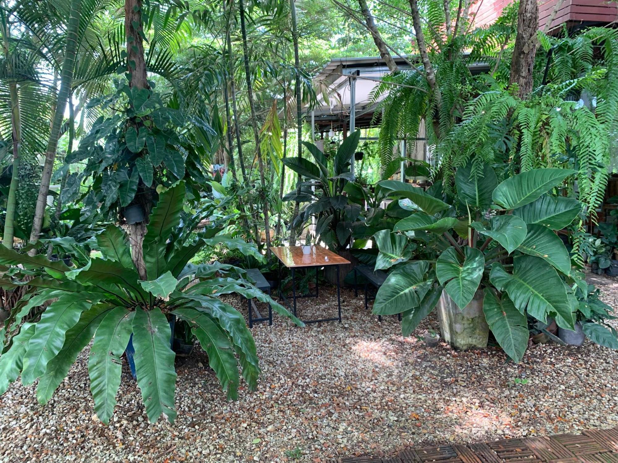 Baan Suan Duang Porn Resort Ban Phae  Esterno foto